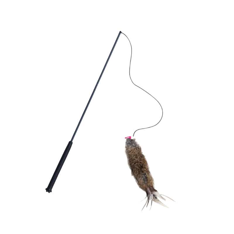 Genuine Leather Teaser Rope For Cat